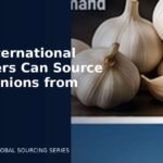 How International Importers Can Source Fresh Onions from India